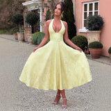 New V-Neck Hanging Neck Sleeveless Tie With Waist Holiday Dress Dress Long High Dress Skirt 68HZ