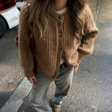Dili Casual Simple Long-Sleeved Button Shirt Sweater Women's 2025 Autumn And Winter